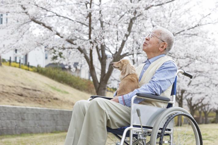 Will Japan's elderly get burned by 'Abenomics'?